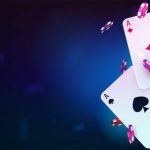 User Expectations When Exploring uae sports betting